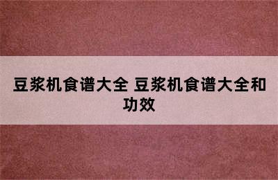 豆浆机食谱大全 豆浆机食谱大全和功效